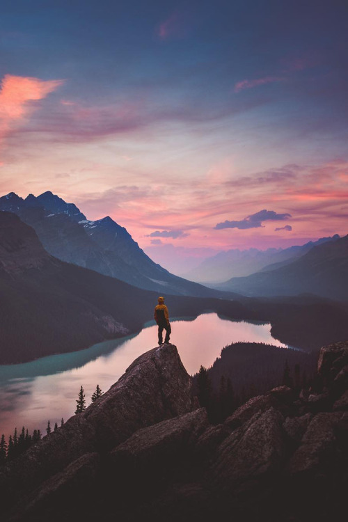 banshy:Peyto Lake by Jude Allen