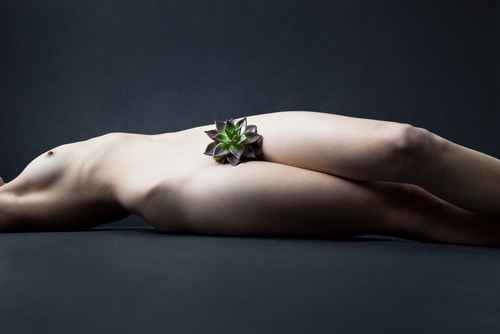 Porn asylum-art:  Torkil Gudnason: Body Vase Agency photos