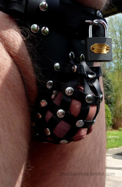 Ruffropes:  Chastityrocks:  Try To Escape, It Hurts. ( Zado Chastity Leather Belt