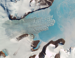 coolthingoftheday:  An ice tongue is a unique glacial formation created by an ice stream that flows faster than the surrounding ice, and thus pushes out to sea ahead of the glacier’s edge. Moreover, this activity needs to take place in a protected harbor