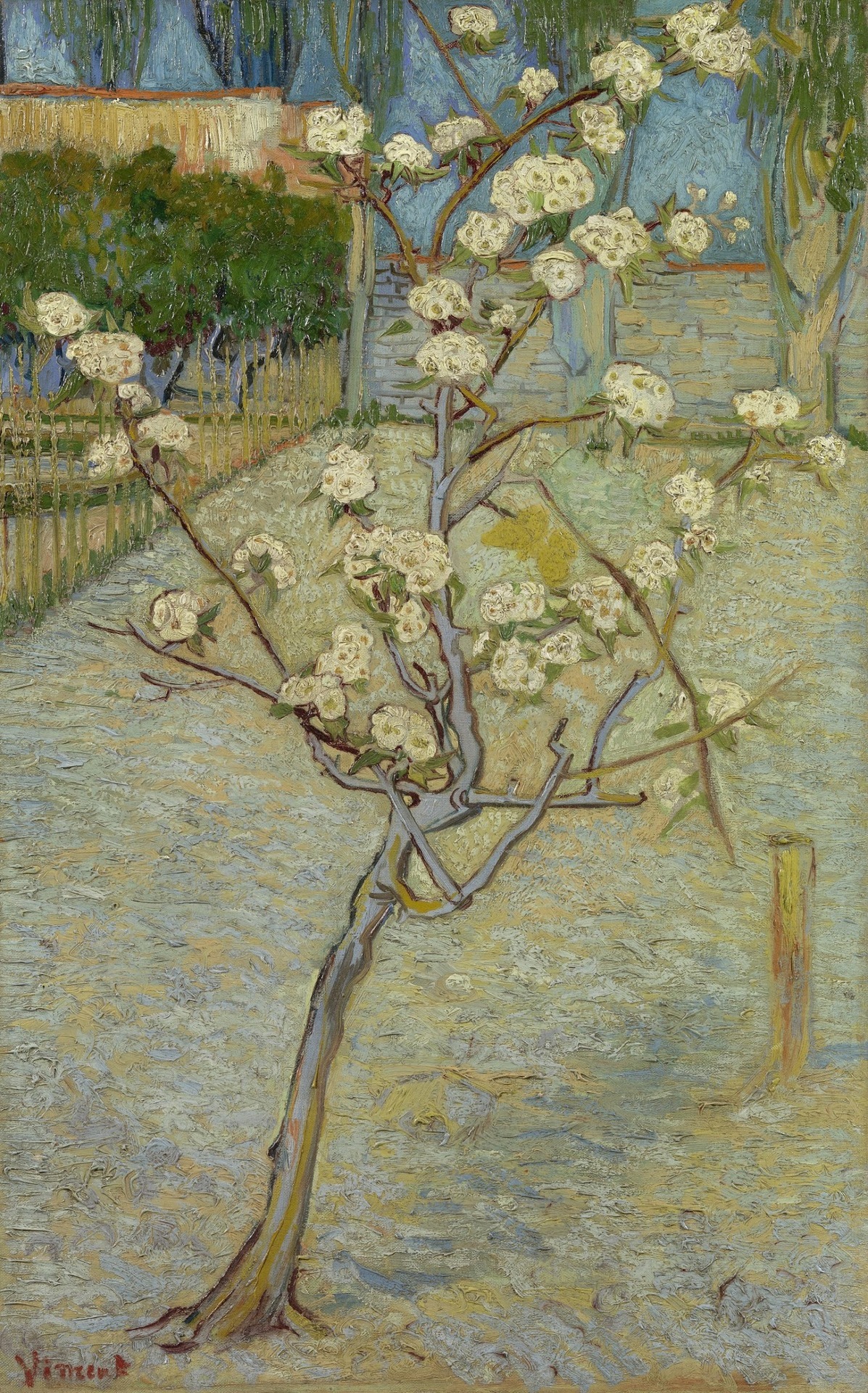 Vincent van Gogh (1853-1890), Small Pear Tree in Blossom (1888); oil on canvas, 73
