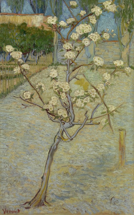 Vincent van Gogh (1853-1890), Small Pear Tree in Blossom (1888); oil on canvas, 73 x 46 cm;   Van Gogh Museum, Amsterdam (Vincent van Gogh Foundation)  