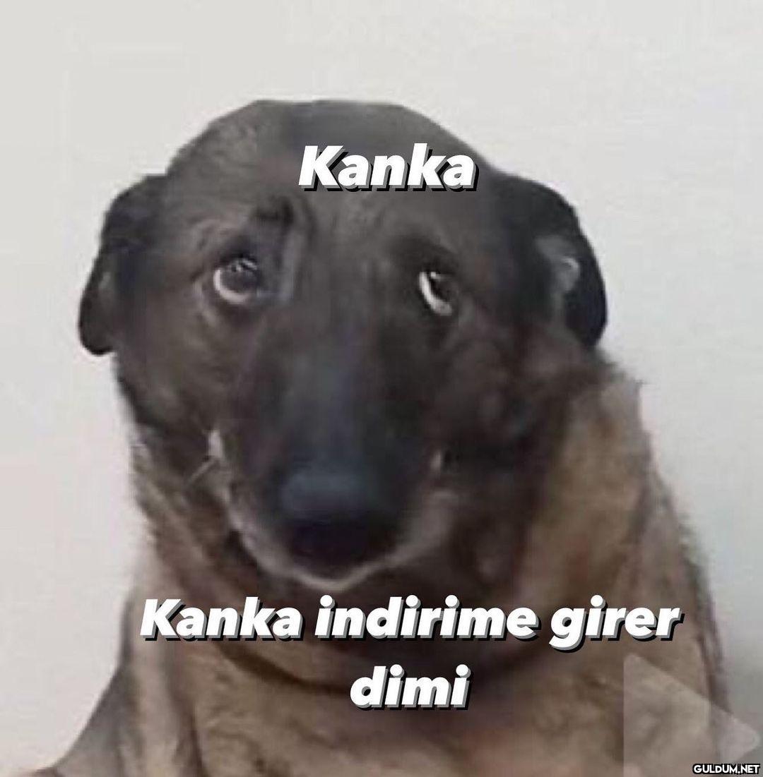 Kanka Kanka indirime girer...