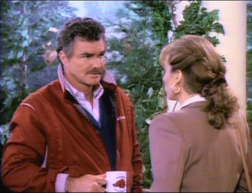 Evening Shade (TV Series)’Vote Early and Vote Often,’ S1/E14 (1991), The Newton family helps Ava run