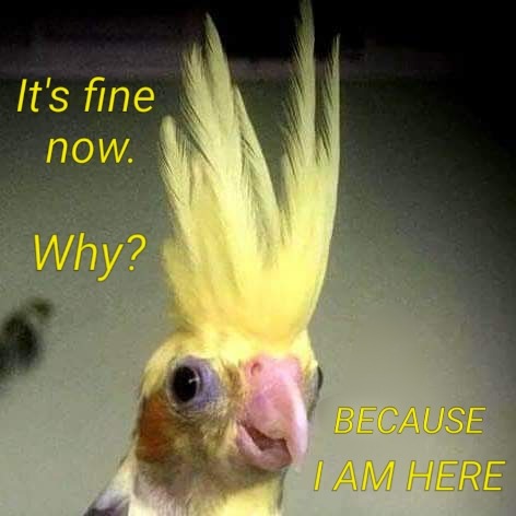 Porn Pics iced-cfvy: birb All Might