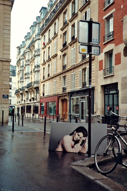 Flana Del Rey - Paris 2016