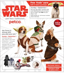 Emmathebean:  Zoeythecorgi:  The New Star Wars Pet Line Officially Launches Tomorrow