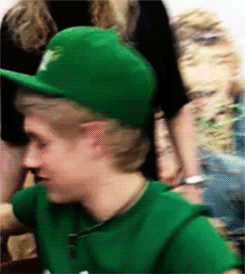 harryniips:  * 
