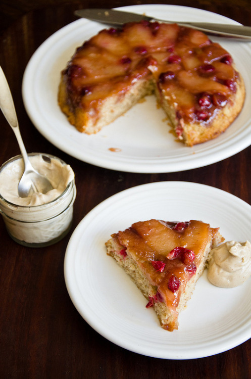 alloftheveganfood:  Vegan Apple Dessert Round Up Rustic Apple & Pear Crisp Spiced Apple Cake with Salted Caramel (NF/SF) Apple Pie (GF) Caramel Apple Cheesecake (GF/raw) Vegan Apple Oatmeal Cookies Apple Cider Cupcakes with Caramel Frosting (GF/SF)