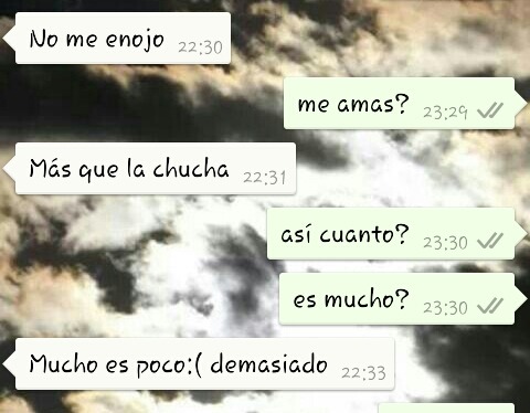 sonrielealaputavida:  Me siento completamente enamorada de ti, eres el mejor hombre,