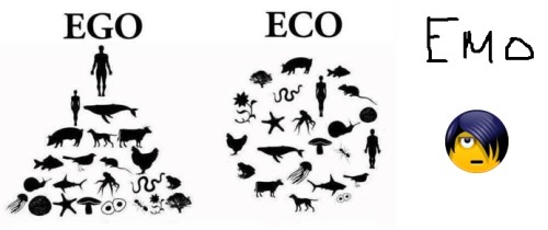 waggington:  Ego is self-maximizing choice.  Eco is collectivism. emo is not the same thing as scene wow dont you know anything