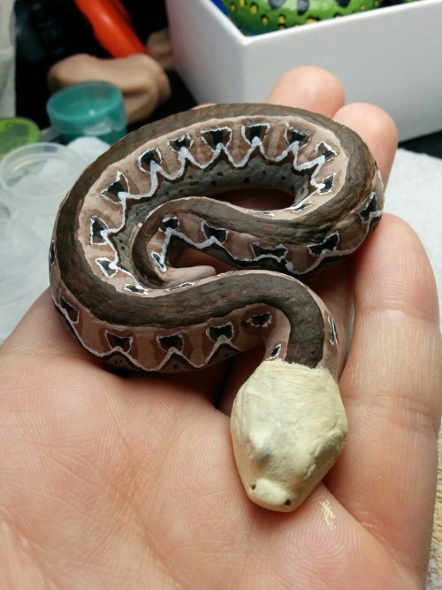 rate-my-reptile: customexotics: I can’t put to words how much I love this little guy, the face