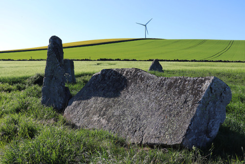 Balquhain Recumbent Stone Circle, Aberdeenshire, 27.5.18.This recumbent stone circle occupies a fant