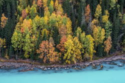 woodendreams:  Kanas Lake, China (by Thierry Bornier)