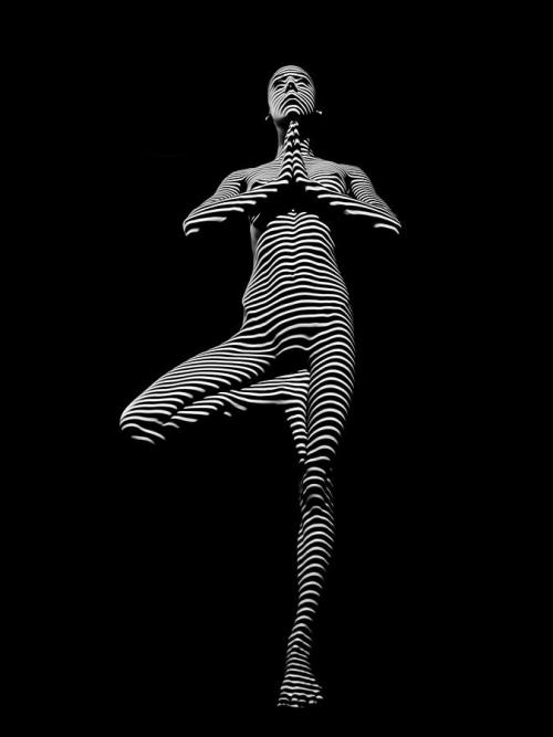 0027-dja Yoga Balance Black WhiteZebra Stripe Photograph by Chris Maher, 2015