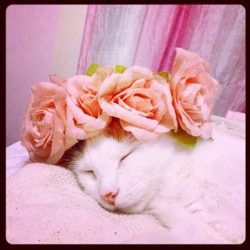 loki-laufysbum: Flower child.