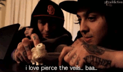 bringmeoverthedge:  Pierce The Veil and the