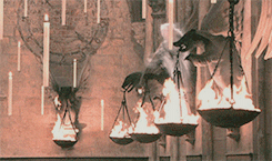 lydamartin:  hp marauders era:   “The truth is, everyone is going to hurt you.