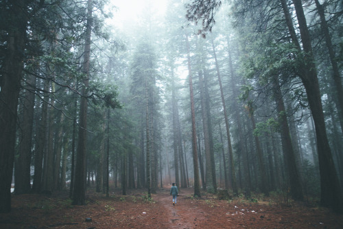 XXX tannerseablom:  Exploring Northern Nevada. photo