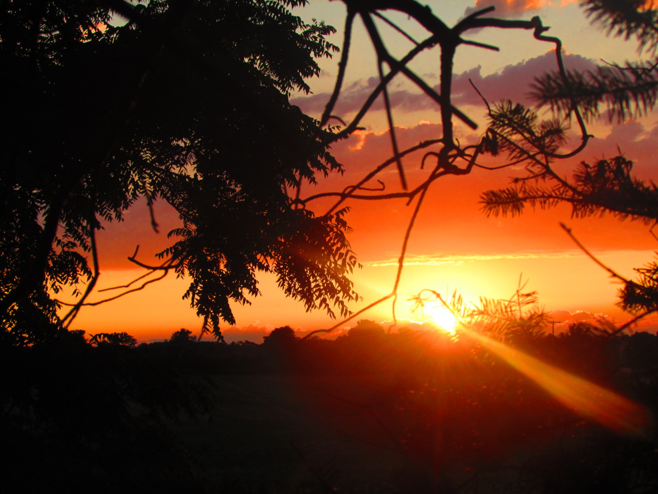 sunsets-and-sweet-tea:  so last week for the entire duration of a sunset I took my