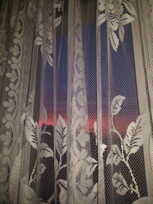 staryiu:  (7.37am) 