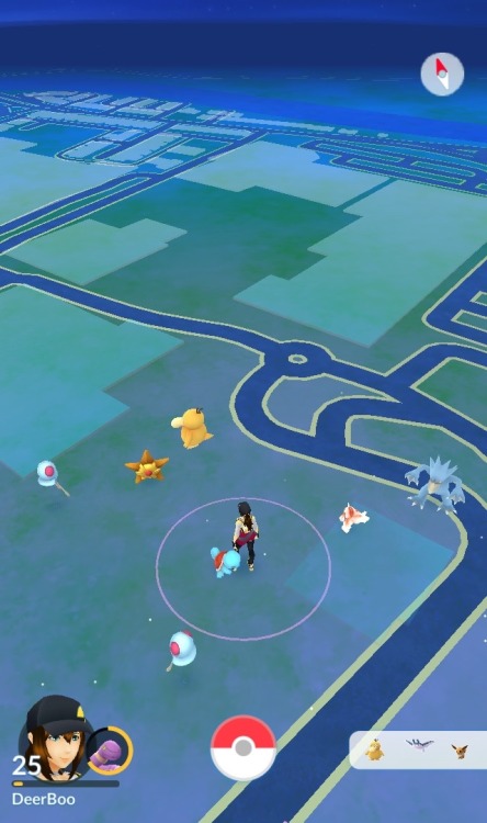 Did you all catch lots of water pokemon during the event?