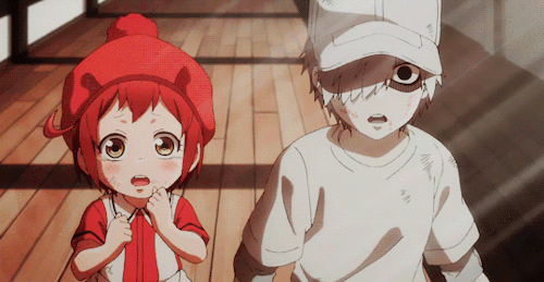 bohkutos: baby red and white blood cell (aka erythroblast and myelocyte) 