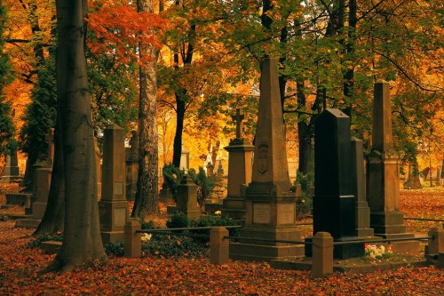 lamus-dworski:Old cemetery in Rzeszów, Poland.Photo © fotografik5.