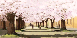  The one with the cherry blossoms just before