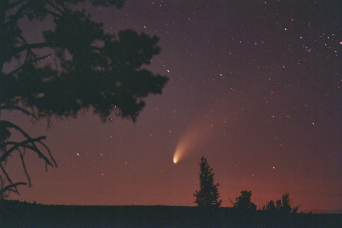 Comet Hale-Bopp images: x, x