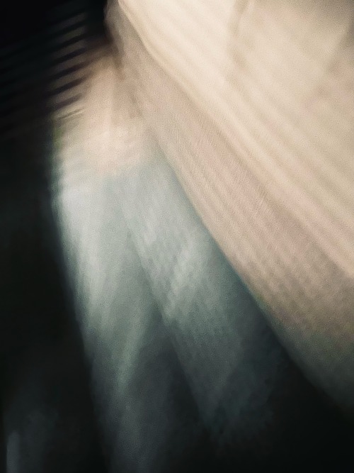 A Series Of Accidental Photos: