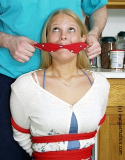 graybandanna:  Hogtied with really thick