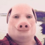johnpork1