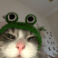 raindrcpz