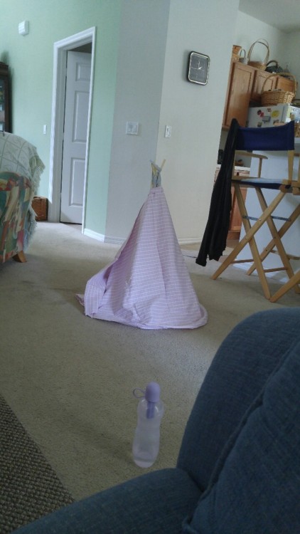 unflatteringcatselfies: One time I built a cat teepee for stanley. That’s catnip on the blanket