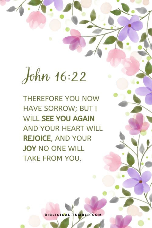 John 16:22Therefore you now have sorrow; but I will see you again and your heart will rejoice, and y