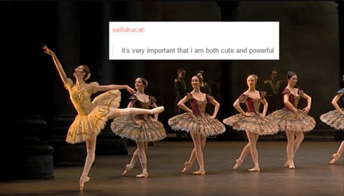 spinmelikeyoumeanit:Paquita + text post memeFor other ballet + text post memes (Swan Lake, La Bayder