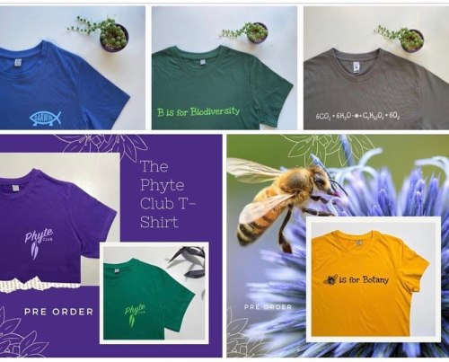 Last 24 hours to get your pre-orders in. #phyteclub the best club in the world. Choose your colour a