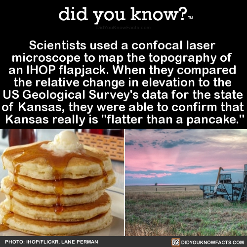 did-you-know:  Scientists used a confocal laser microscope to map the topography of an IHOP flapjack. When they compared the relative change in elevation to the US Geological Survey’s data for the state of Kansas, they were able to confirm that Kansas