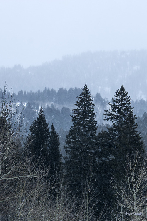 Calm inside the Storm: Caribou-Targhee National Forest, Idahoriverwindphotography, February 2018