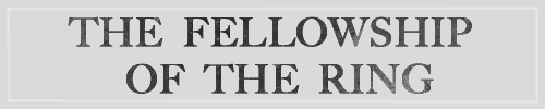 ifyoudontlovelotryourewrong:  The Fellowship of the Ring 