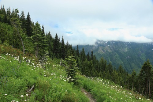 burningmine:Lake of the Angels Trail, July 2020