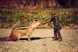 huffingtonpost:  Utter brilliance. See more photos of chipmunks hanging out with Stars Wars figurines here.  (By Canadian illustrator Chris McVeigh)