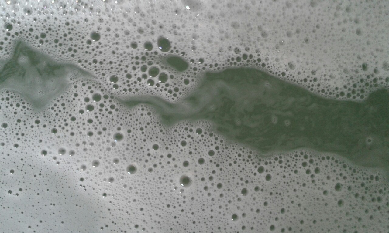 palepeau:  x