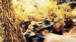 arwenns:less wise and more dangerousfor flossskull