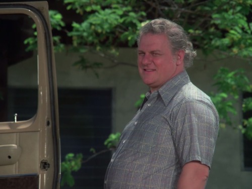 Hawaii Five-O (TV Series) - S8/E9 ’Retire in Sunny Hawaii… Forever’ (1975)Charles Durning as 