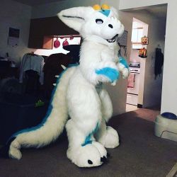 furfancycostumes:  Aang with his updates. Fixed his tail added wings (around ac) new digi padding new foot claws deep cleaning head wash and slippers in the feet. He will soon have new hand paws.  #Fursuit #furfancycostumes 