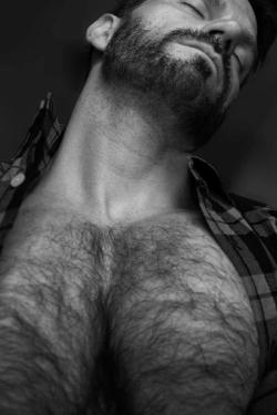 My Hairy Dream