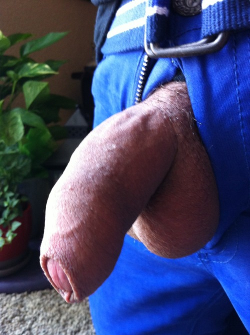 http://mrnopantsnoway.tumblr.com/post/60462584300