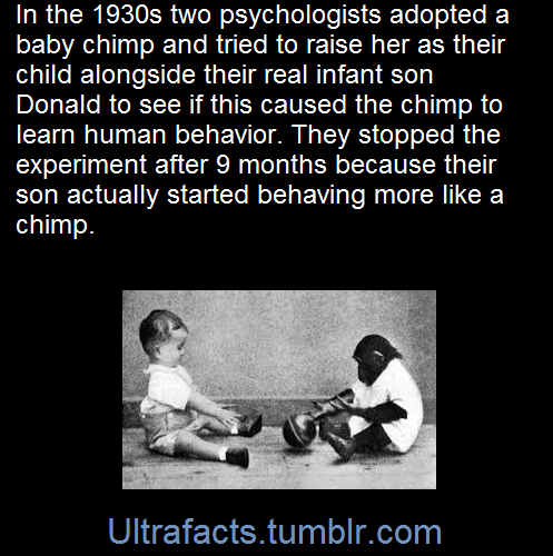 ultrafacts:  Sources: [1] [2]Follow Ultrafacts for more facts